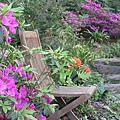 P1010144.JPG