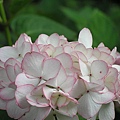 P1010029.JPG