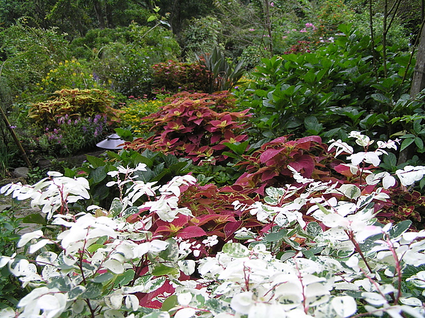 PA130130.JPG