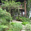 IMG_1186.jpg