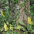 DSC_0416.JPG