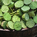 lotus seeds.jpg