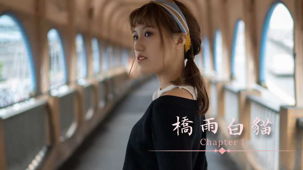 橋雨白貓01.jpg 橋雨白貓01.jpg