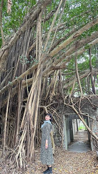 虎尾建國眷村-雲林 虎尾建國一村...2023 1220(三