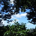 超美的天空~~