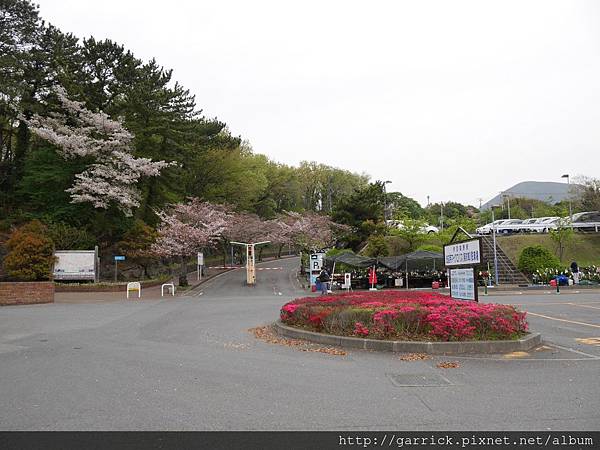 P1010156.jpg P1010156.jpg