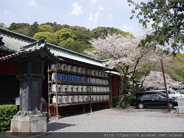 P1010409.jpg P1010409.jpg