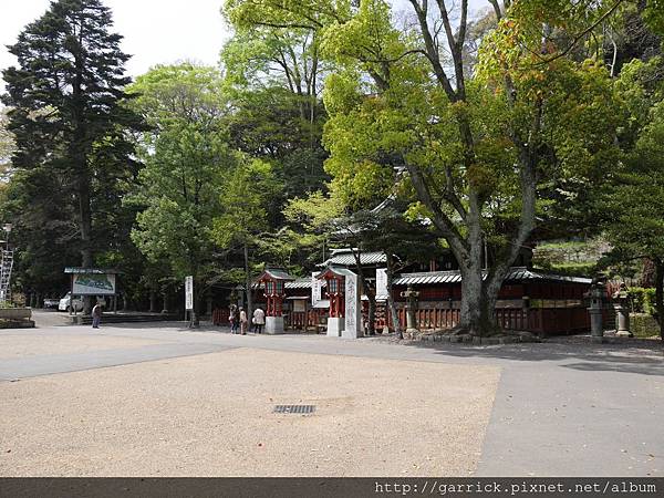 P1010412.jpg P1010412.jpg