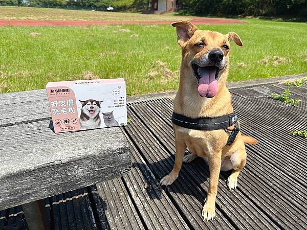 毛孩優健 好皮膚亮毛粉｜頂級寵物保健品牌～食品技師張邦妮的研