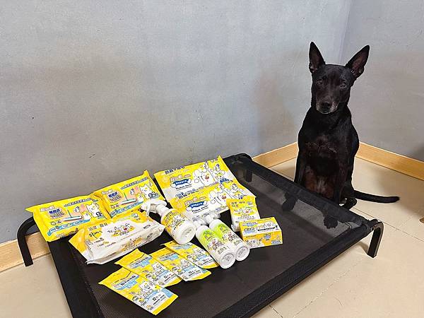 🐶懶人寵爸必備|寶兒樂|刷牙就用寵物潔牙指套、潔牙巾~強力超 🐶懶人寵爸必備|寶兒樂|刷牙就用寵物潔牙指套、潔牙巾~強力超