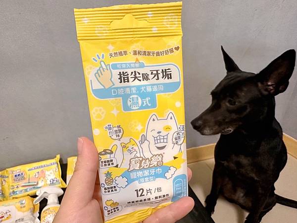 🐶懶人寵爸必備|寶兒樂|刷牙就用寵物潔牙指套、潔牙巾~強力超 🐶懶人寵爸必備|寶兒樂|刷牙就用寵物潔牙指套、潔牙巾~強力超