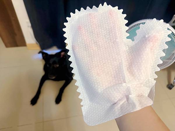 🐶懶人寵爸必備|寶兒樂|刷牙就用寵物潔牙指套、潔牙巾~強力超 🐶懶人寵爸必備|寶兒樂|刷牙就用寵物潔牙指套、潔牙巾~強力超