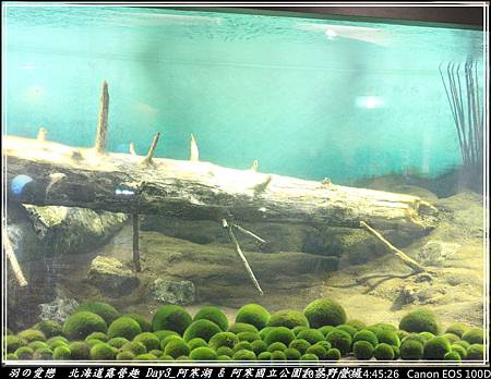 2015_0720_144526P41.jpg 2015_0720_144526P41.jpg