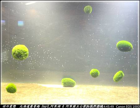 2015_0720_144549P42.jpg 2015_0720_144549P42.jpg