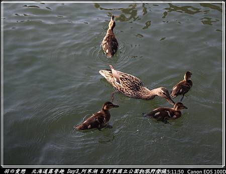 2015_0720_151150P35.jpg 2015_0720_151150P35.jpg