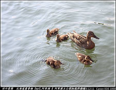 2015_0720_151211P37.jpg 2015_0720_151211P37.jpg