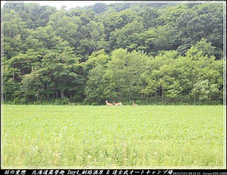 2015_0721_093115P10.jpg