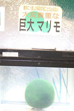 2015_0720_144620 2015_0720_144620