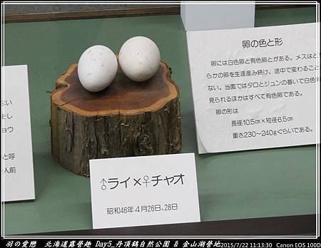 2015_0722_111330P41.jpg 2015_0722_111330P41.jpg