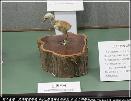 2015_0722_111341P42.jpg 2015_0722_111341P42.jpg