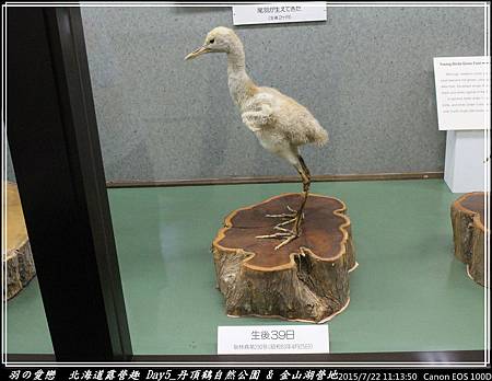 2015_0722_111350P43.jpg 2015_0722_111350P43.jpg