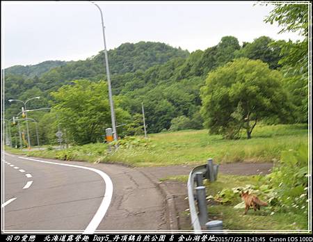 2015_0722_134345(001)P85.jpg