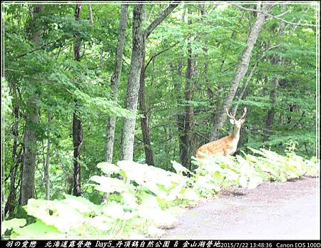 2015_0722_134836P88.jpg 2015_0722_134836P88.jpg