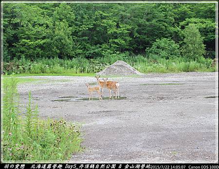 2015_0722_140507P89.jpg 2015_0722_140507P89.jpg