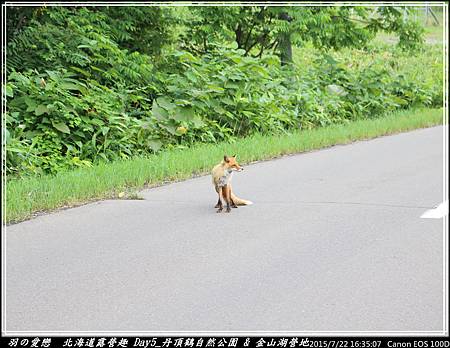 2015_0722_163507P102.jpg 2015_0722_163507P102.jpg
