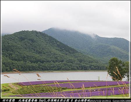 2015_0722_163911P104.jpg 2015_0722_163911P104.jpg