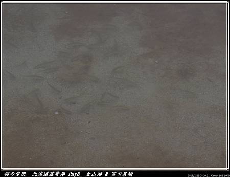 2015_0723_082021P60.jpg 2015_0723_082021P60.jpg