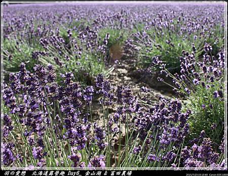 2015_0723_151040P11.jpg 2015_0723_151040P11.jpg