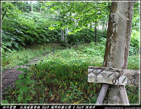 2015_0725_095812P39.jpg 2015_0725_095812P39.jpg