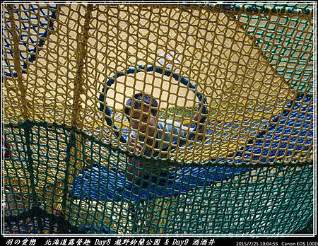 2015_0725_100455P44.jpg 2015_0725_100455P44.jpg