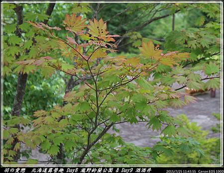 2015_0725_114355P03.jpg 2015_0725_114355P03.jpg