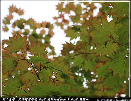 2015_0725_114418P04.jpg 2015_0725_114418P04.jpg