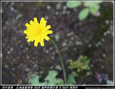 2015_0725_114704P05.jpg 2015_0725_114704P05.jpg