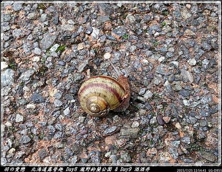 2015_0725_125441P11.jpg 2015_0725_125441P11.jpg