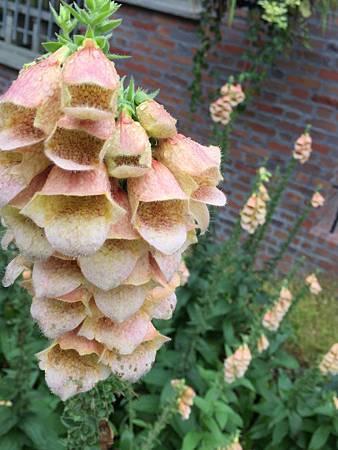 11778982_976011915762388_1065320812_o 11778982_976011915762388_1065320812_o