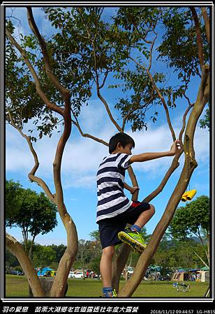 20161112_094457P04.jpg 20161112_094457P04.jpg