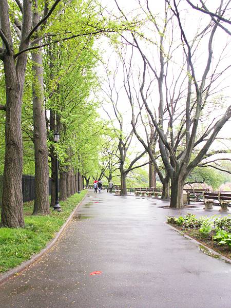 PICT0051.JPG