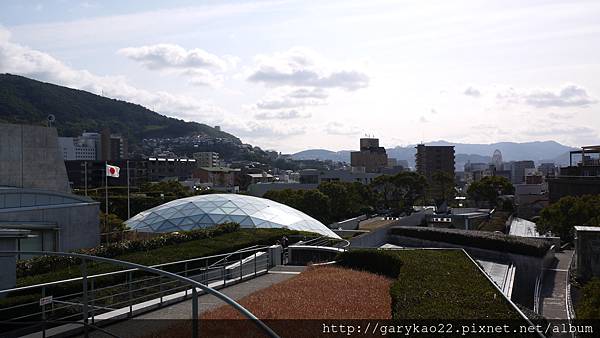 P1100433 P1100433