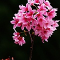 037