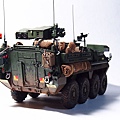 M1134-In-04.JPG