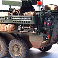 M1134-In-07.JPG