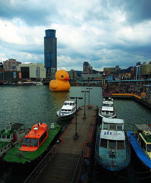 duck_5.JPG