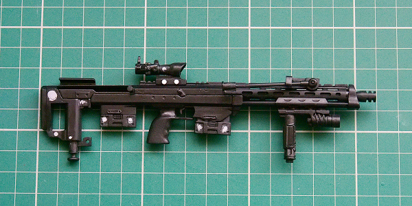 007-DSR-1.JPG