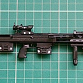 007-DSR-1.JPG