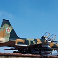 F-5F-Product_13.JPG