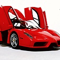 Enzo-Product_15.JPG